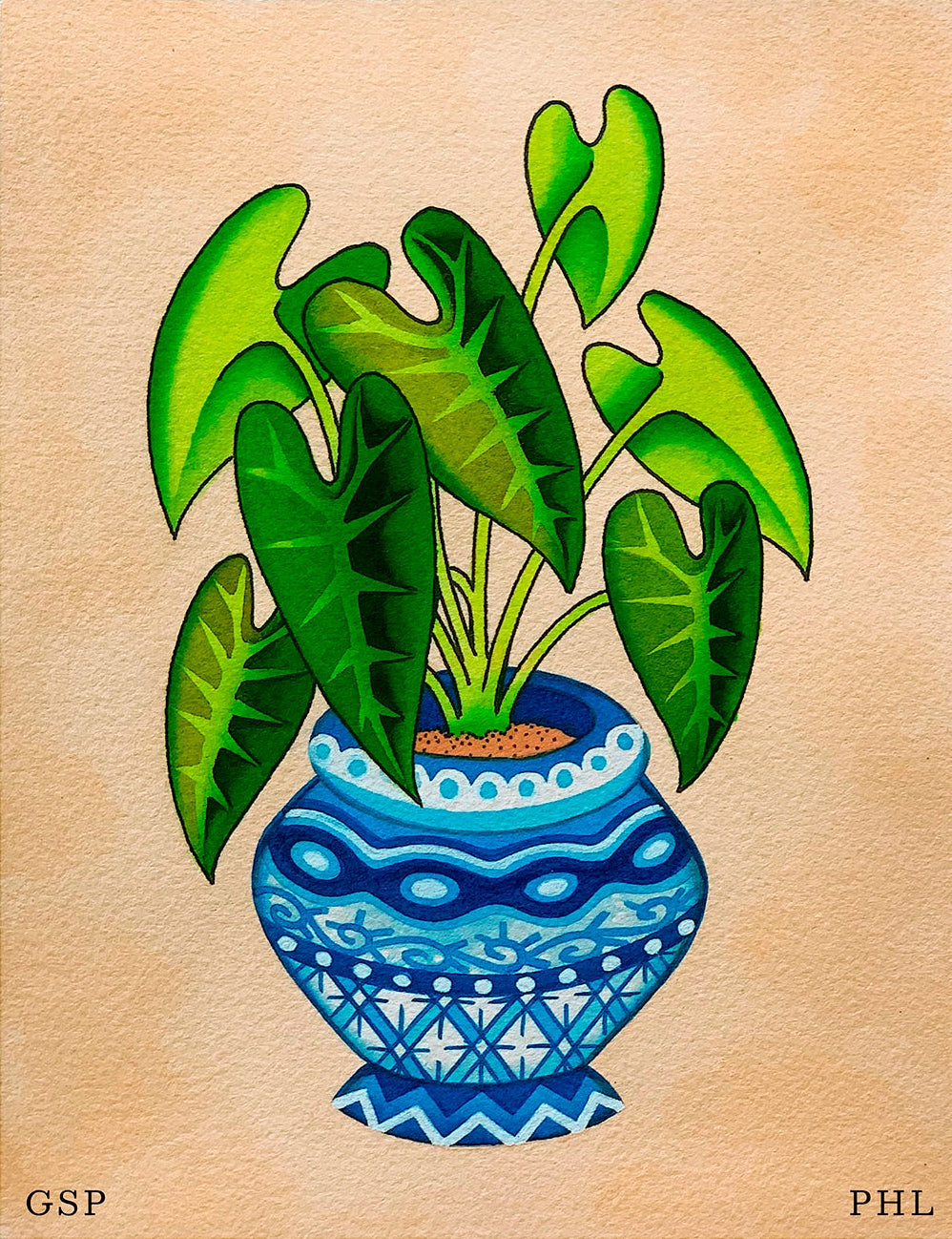 Gianna Phillips – Green Alocasia