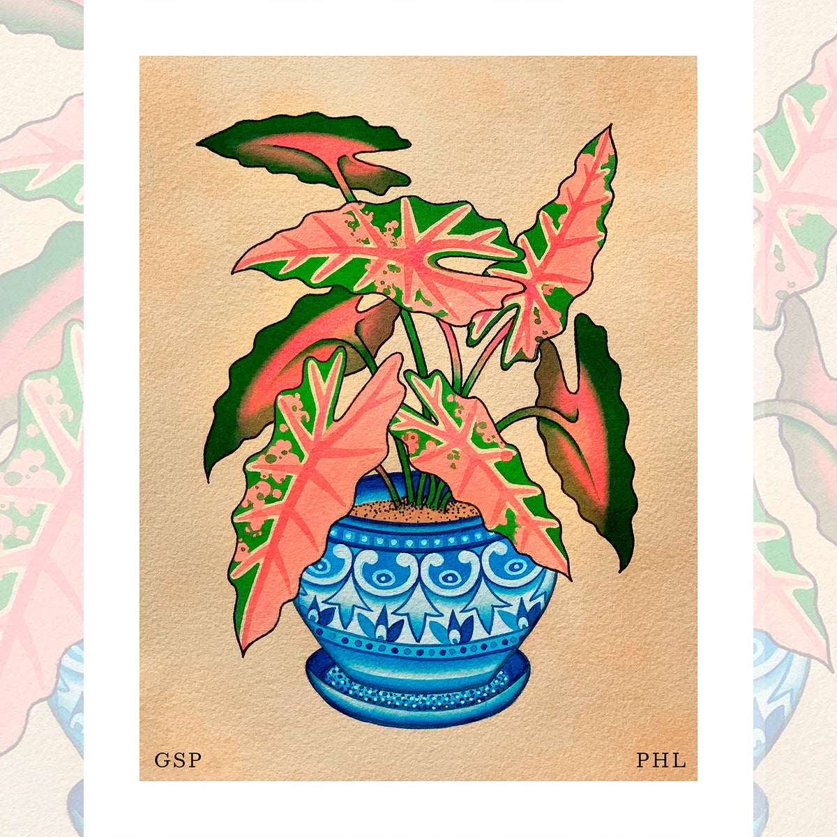 Gianna Phillips – Variegated Caladium