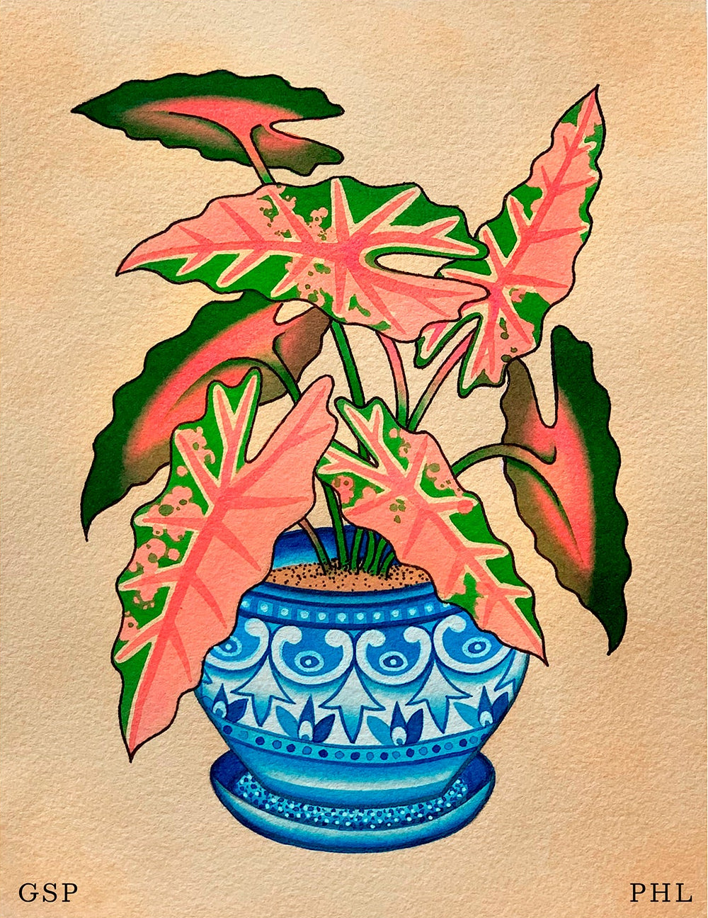 Gianna Phillips – Variegated Caladium