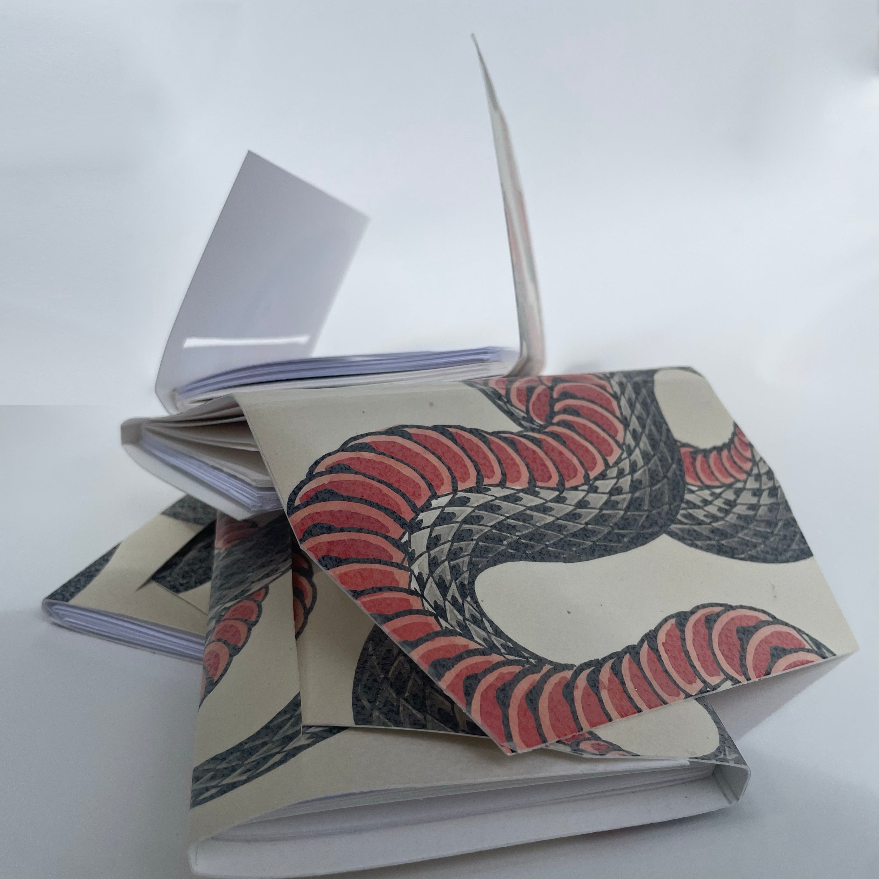 Mystery Passport Sketch Booklet