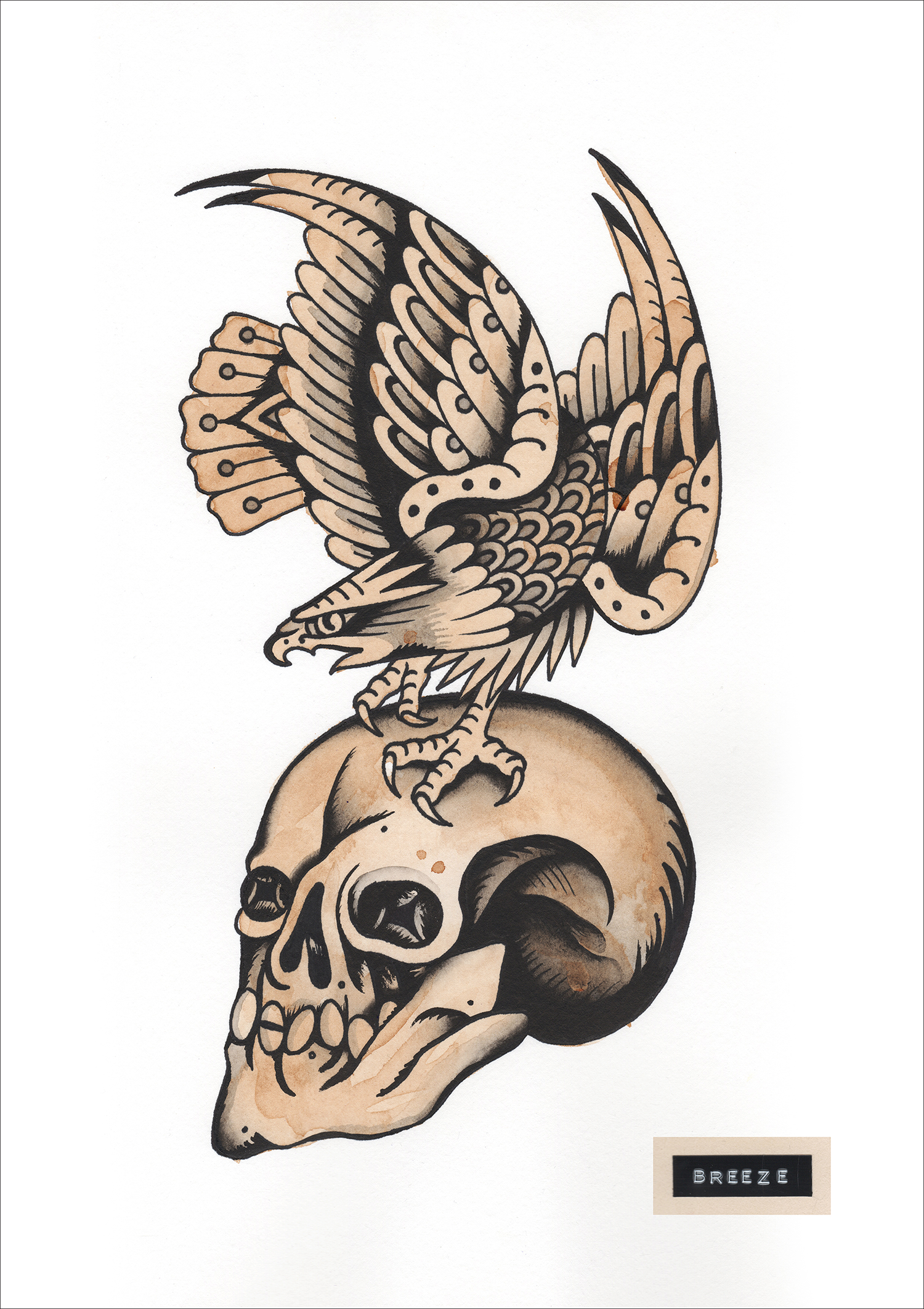 watercolor sketching