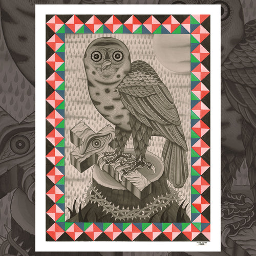 Teide - Owl 
